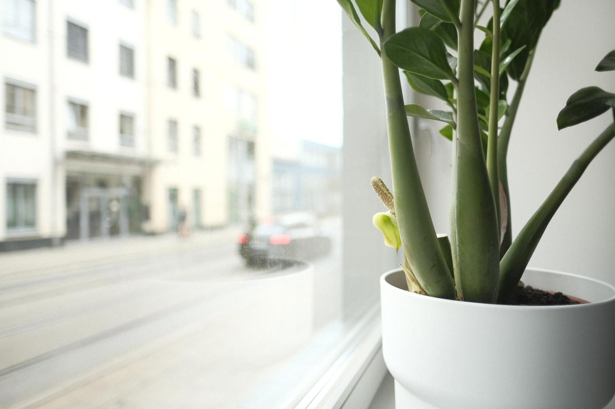 Apartments Zur Alten Konditorei Schwerin  Rom bilde